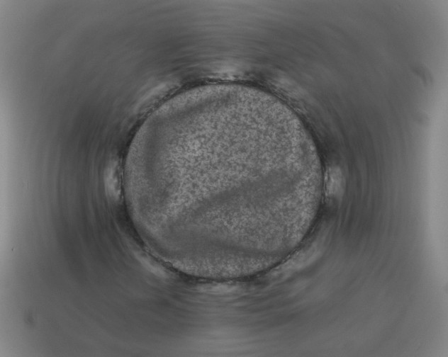 X0000113241202200910081251