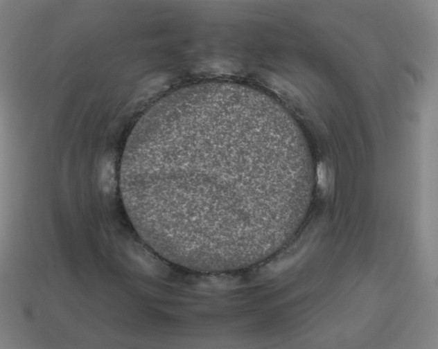 X0000113241203200910081251