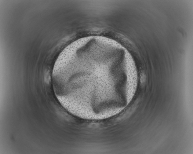 X0000113241204200910081251