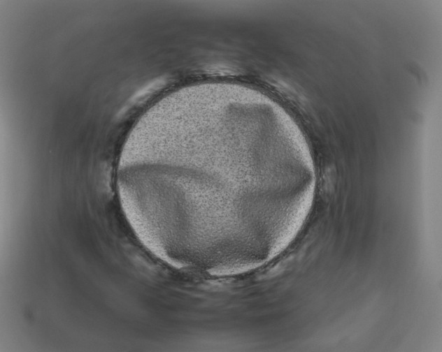 X0000113241205200910081251