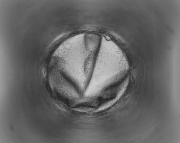 X0000113241206200910081251