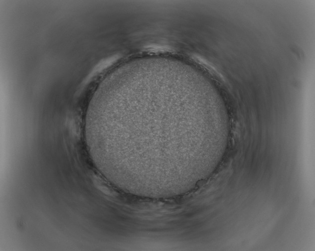 X0000113241207200910081251