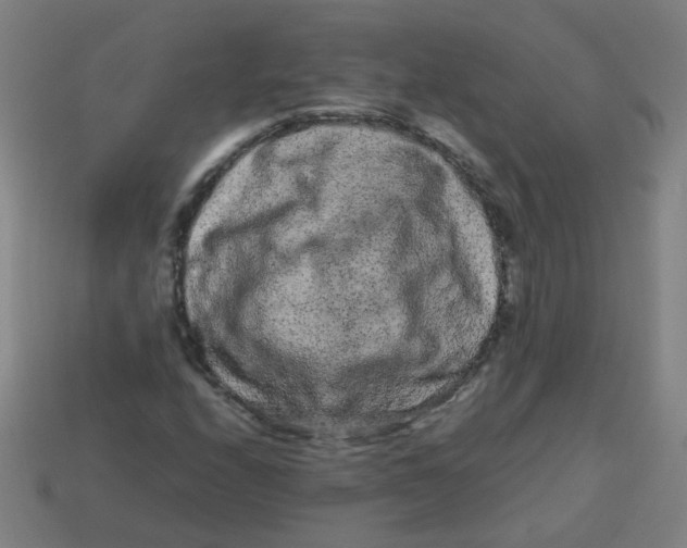 X0000113241208200910081251