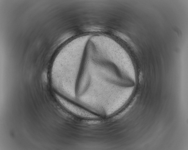X0000113241209200910081251