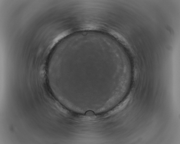 X0000113241210200910081251