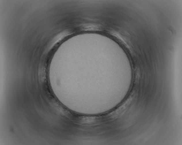 X0000113241211200910081251