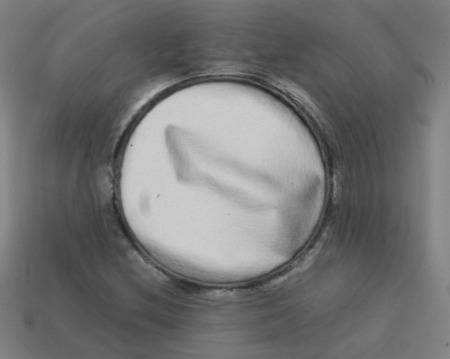 X0000113241212200910081251
