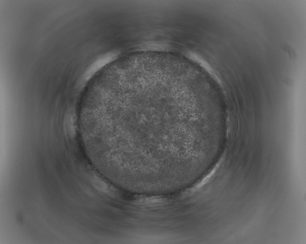 X0000113241213200910081251