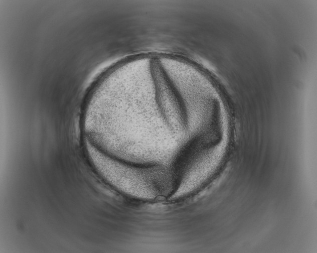 X0000113241214200910081251