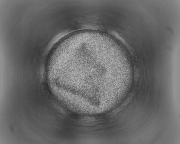 X0000113241215200910081251