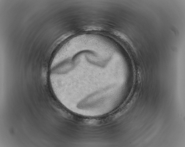 X0000113241217200910081251