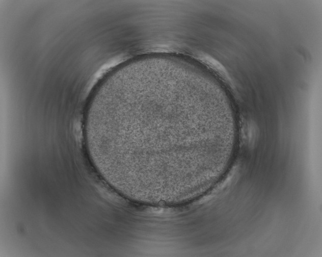 X0000113241218200910081251