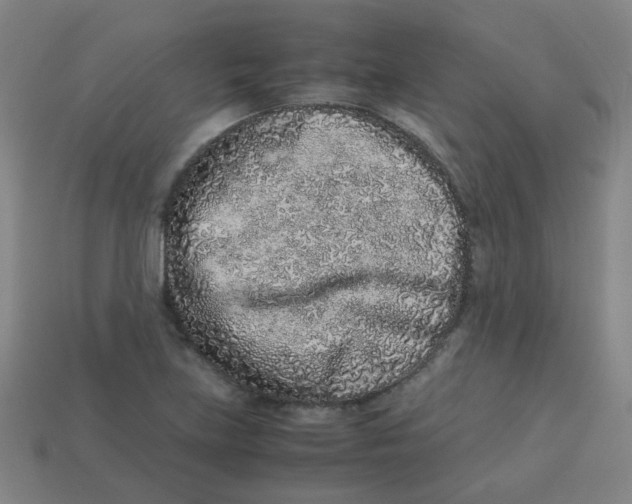 X0000113241219200910081251