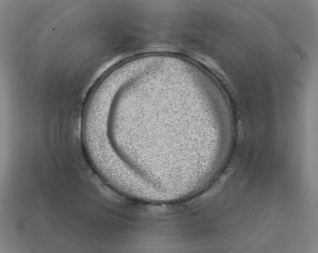 X0000113241220200910081251