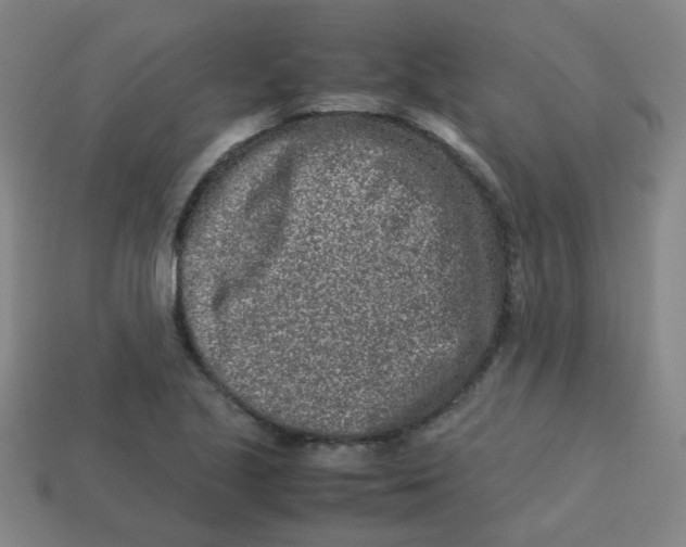 X0000113241221200910081251