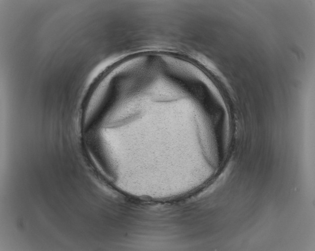 X0000113241222200910081251