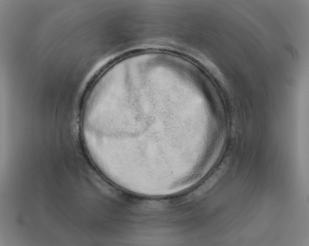 X0000113241224200910081251