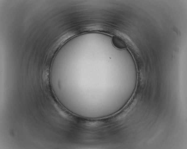 X0000113241225200910081251