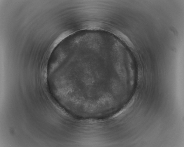 X0000113241226200910081251