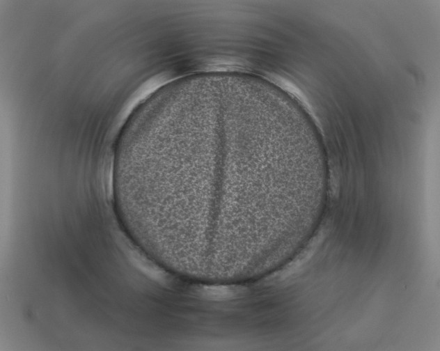 X0000113241227200910081251