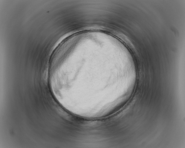 X0000113241228200910081251