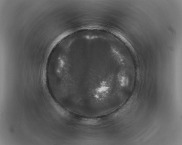 X0000113241229200910081251