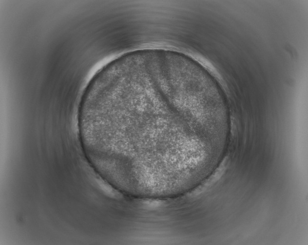 X0000113241230200910081251