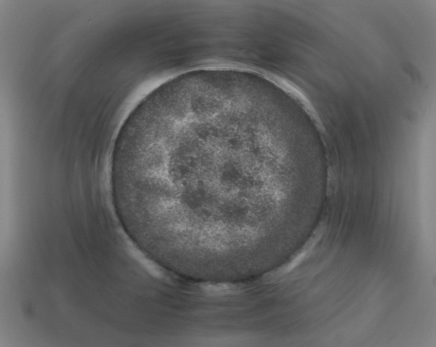 X0000113241231200910081251