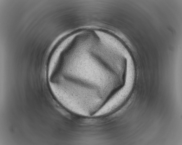 X0000113241232200910081251