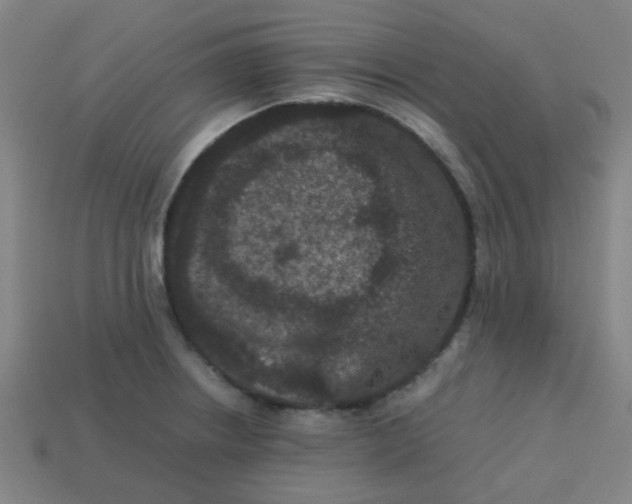 X0000113241234200910081251
