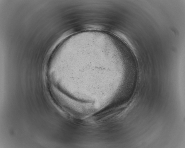 X0000113241235200910081251