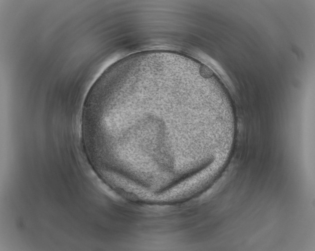 X0000113241236200910081251