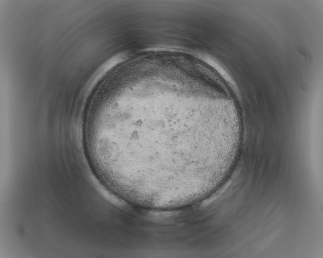 X0000113241237200910081251