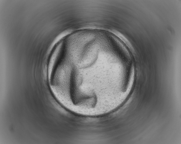 X0000113241238200910081251