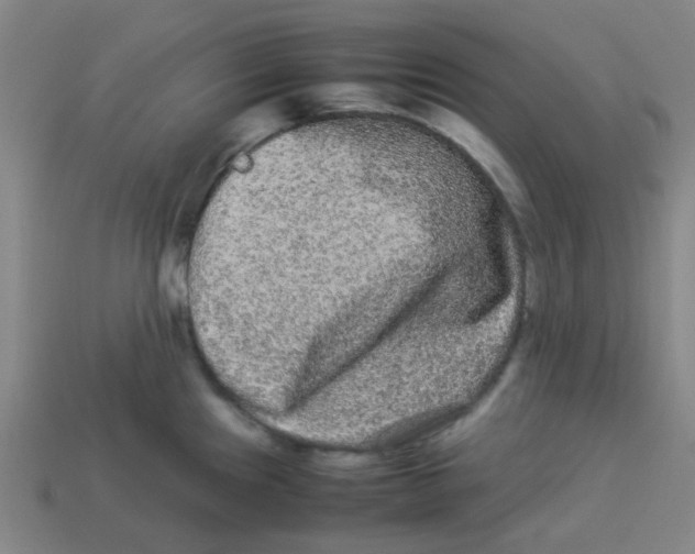X0000113241241200910081251