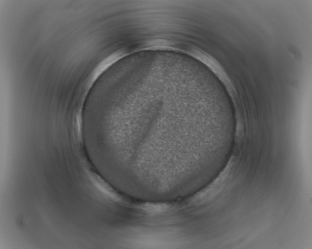 X0000113241242200910081251