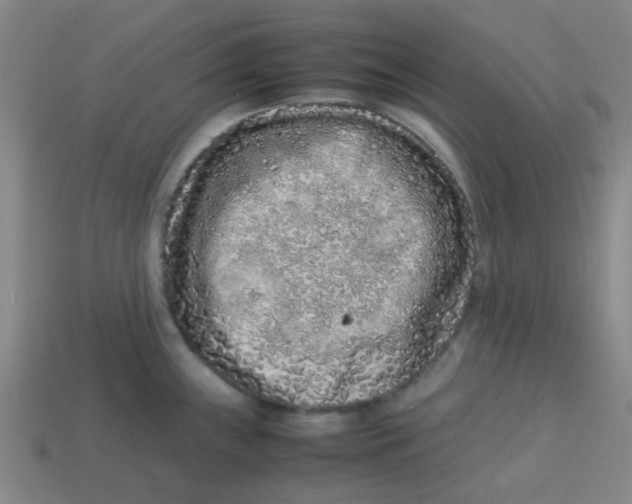 X0000113241243200910081251