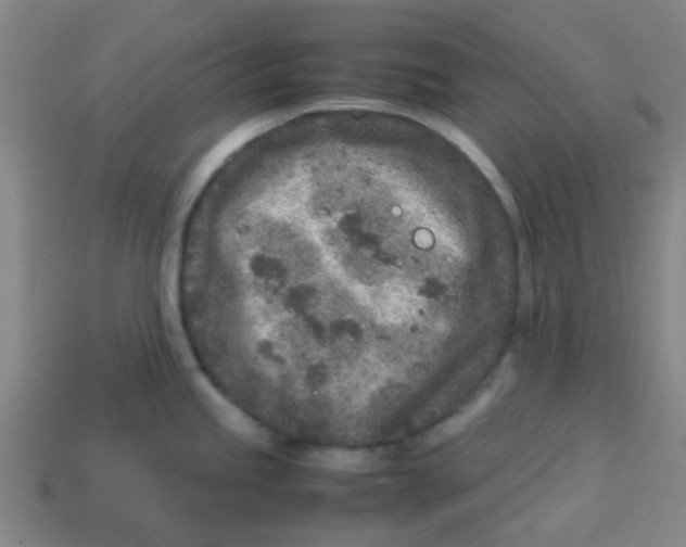 X0000113241245200910081251