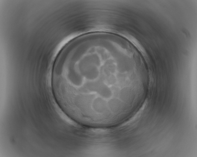 X0000113241246200910081251