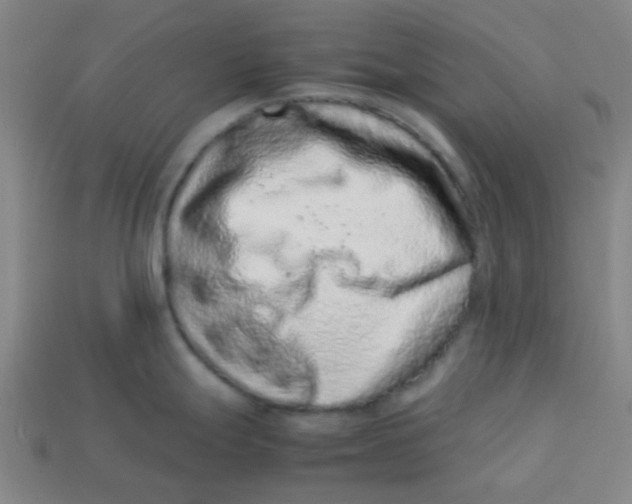 X0000113241247200910081251