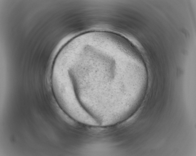 X0000113241248200910081251