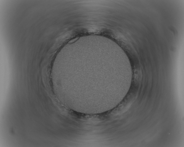 X0000113241249200910081251