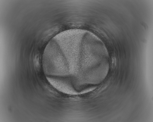 X0000113241250200910081251