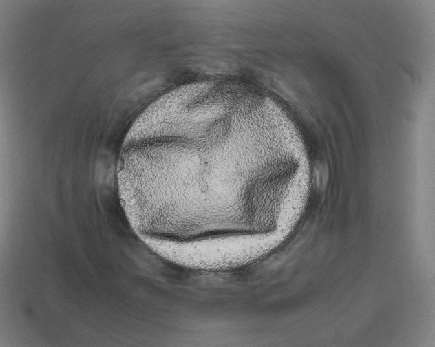 X0000113241251200910081251