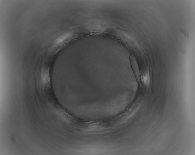 X0000113241252200910081251