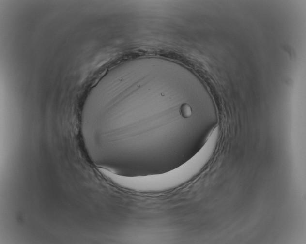 X0000113241253200910081251