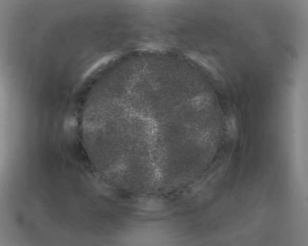 X0000113241254200910081251