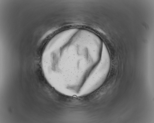 X0000113241255200910081251
