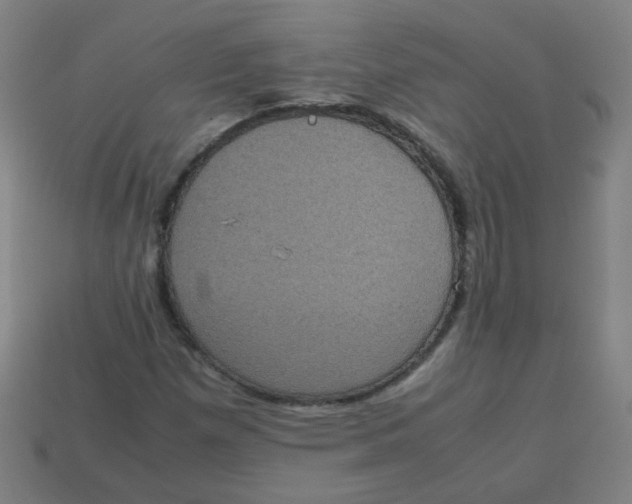 X0000113241257200910081251