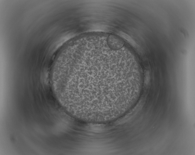 X0000113241258200910081251